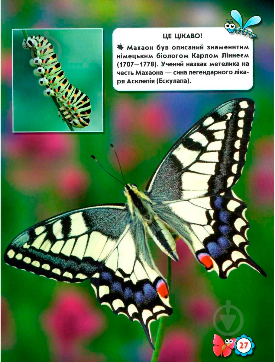 Книга Тамара Протасовицкая «Світ навколо нас. Комахи» 978-966-9369-20-8 - фото 8 Книга Тамара Протасовицкая «Світ навколо нас. Комахи» 978-966-9369-20-8 - фото 8