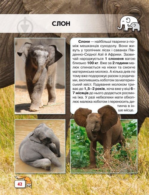 Книга «Світ навколо нас. Малята тварин» 978-966-9369-49-9 - фото 11