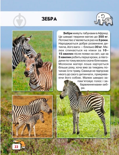 Книга «Світ навколо нас. Малята тварин» 978-966-9369-49-9 - фото 7