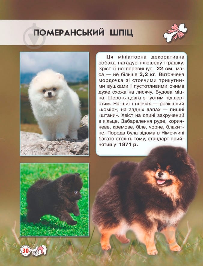 Книга Тамара Протасовицкая «Світ навколо нас. Собаки» 978-966-936-748-8 - фото 11 Книга Тамара Протасовицкая «Світ навколо нас. Собаки» 978-966-936-748-8 - фото 11