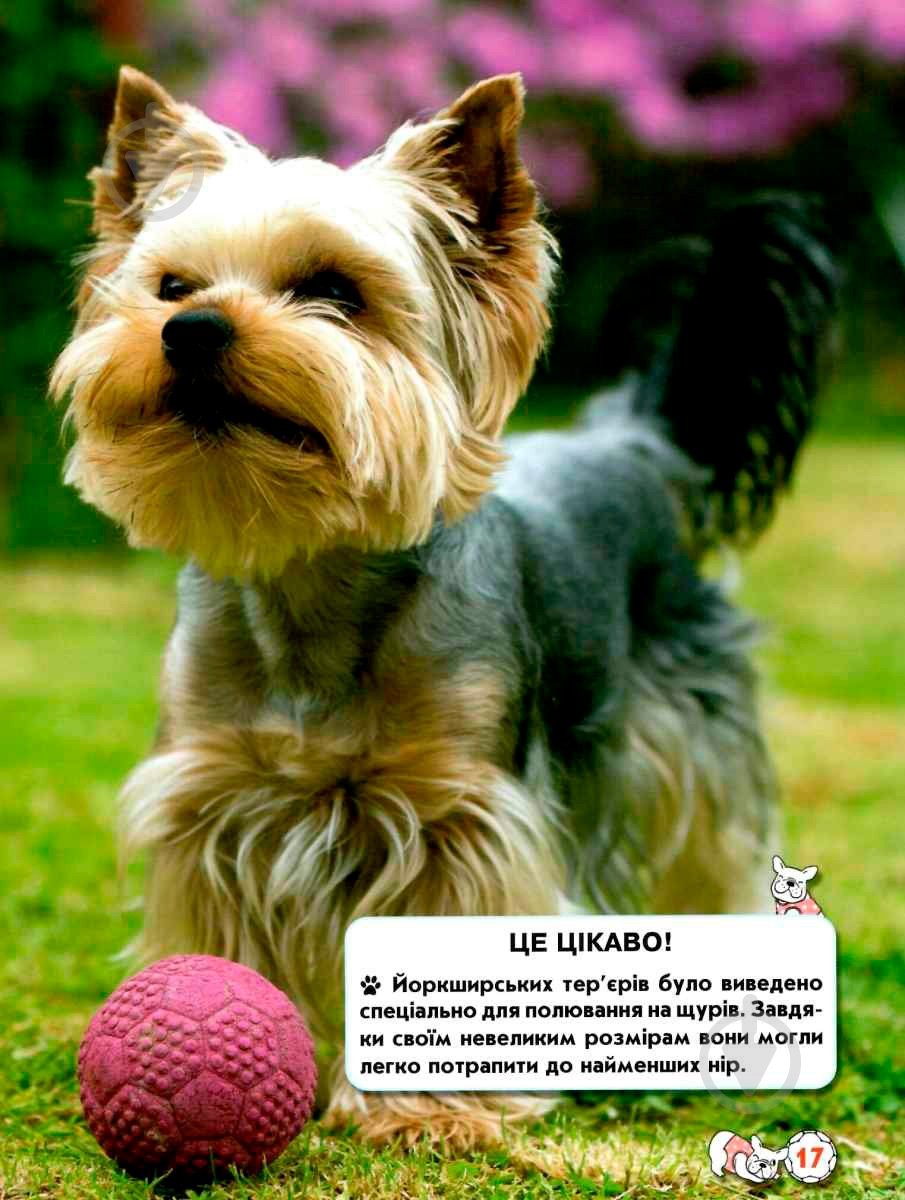 Книга Тамара Протасовицкая «Світ навколо нас. Собаки» 978-966-936-748-8 - фото 8 Книга Тамара Протасовицкая «Світ навколо нас. Собаки» 978-966-936-748-8 - фото 8