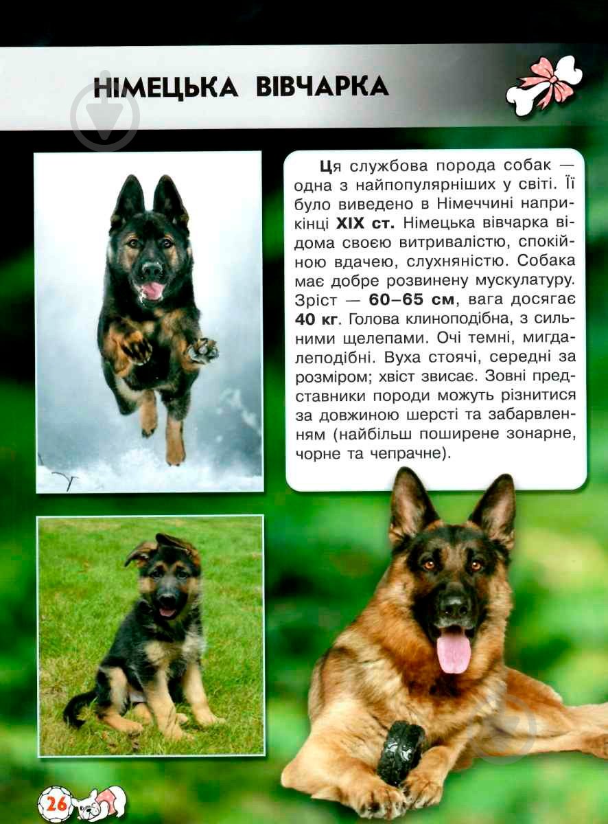 Книга Тамара Протасовицкая «Світ навколо нас. Собаки» 978-966-936-748-8 - фото 9 Книга Тамара Протасовицкая «Світ навколо нас. Собаки» 978-966-936-748-8 - фото 9