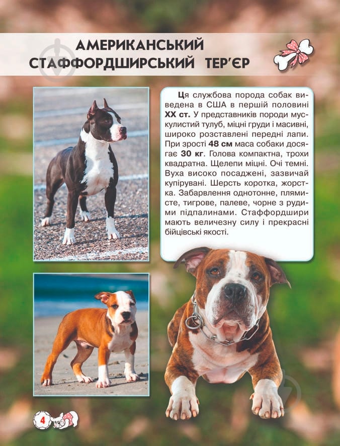Книга Тамара Протасовицкая «Світ навколо нас. Собаки» 978-966-936-748-8 - фото 5 Книга Тамара Протасовицкая «Світ навколо нас. Собаки» 978-966-936-748-8 - фото 5
