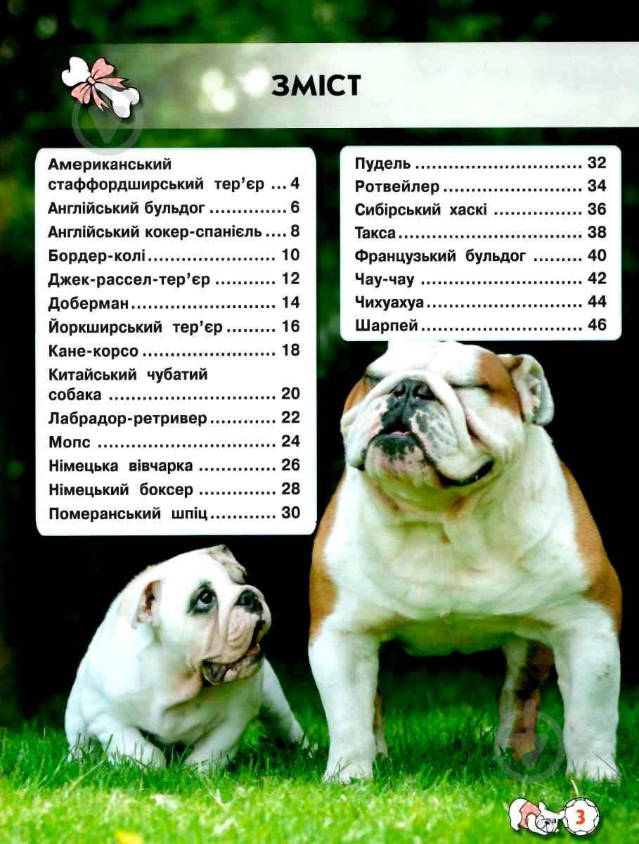 Книга Тамара Протасовицкая «Світ навколо нас. Собаки» 978-966-936-748-8 - фото 4 Книга Тамара Протасовицкая «Світ навколо нас. Собаки» 978-966-936-748-8 - фото 4