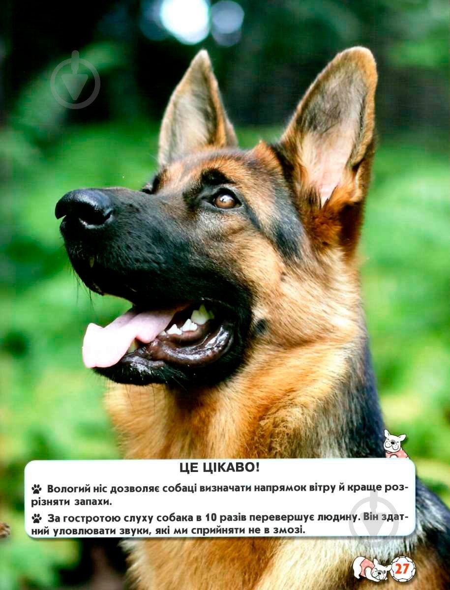 Книга Тамара Протасовицкая «Світ навколо нас. Собаки» 978-966-936-748-8 - фото 10 Книга Тамара Протасовицкая «Світ навколо нас. Собаки» 978-966-936-748-8 - фото 10