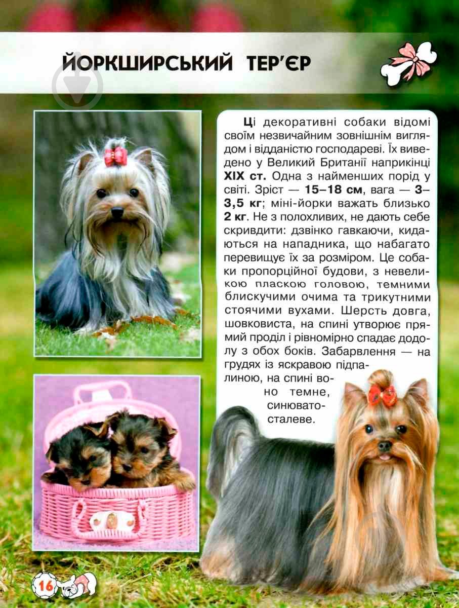 Книга Тамара Протасовицкая «Світ навколо нас. Собаки» 978-966-936-748-8 - фото 7 Книга Тамара Протасовицкая «Світ навколо нас. Собаки» 978-966-936-748-8 - фото 7