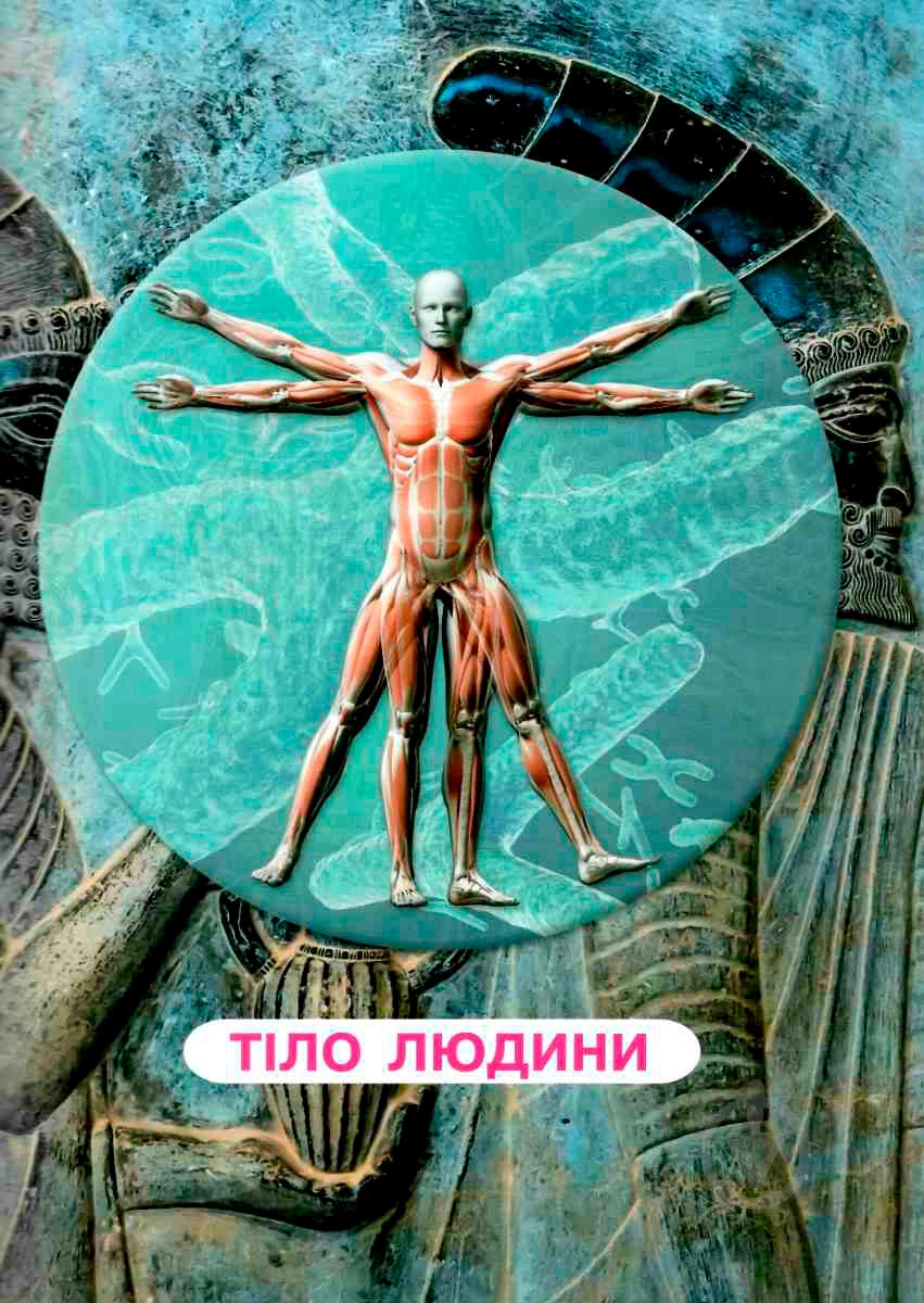 Книга Алина Котка «КнигУсе про тіло людини. 1000 цікавих фактів» 978-966-936-836-2 - фото 4