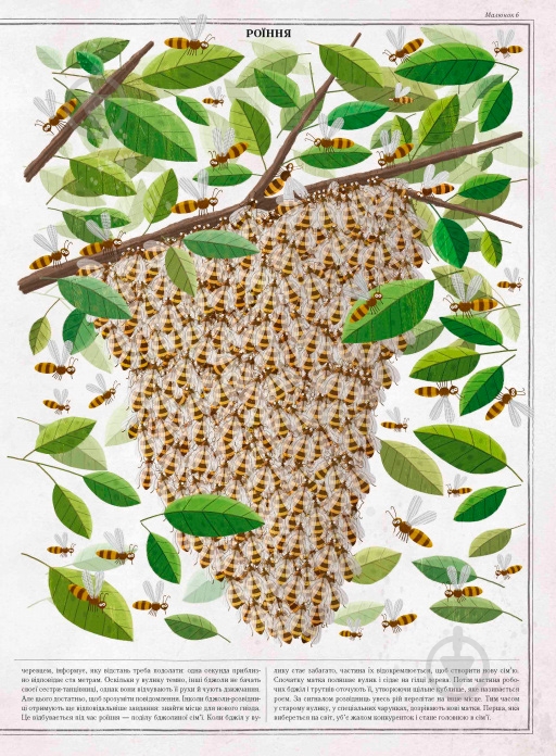 Книга Петр Соха «Бджоли» 978-966-915-239-8 - фото 6