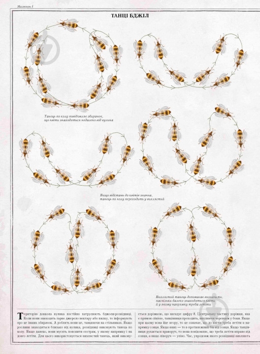 Книга Петр Соха «Бджоли» 978-966-915-239-8 - фото 5