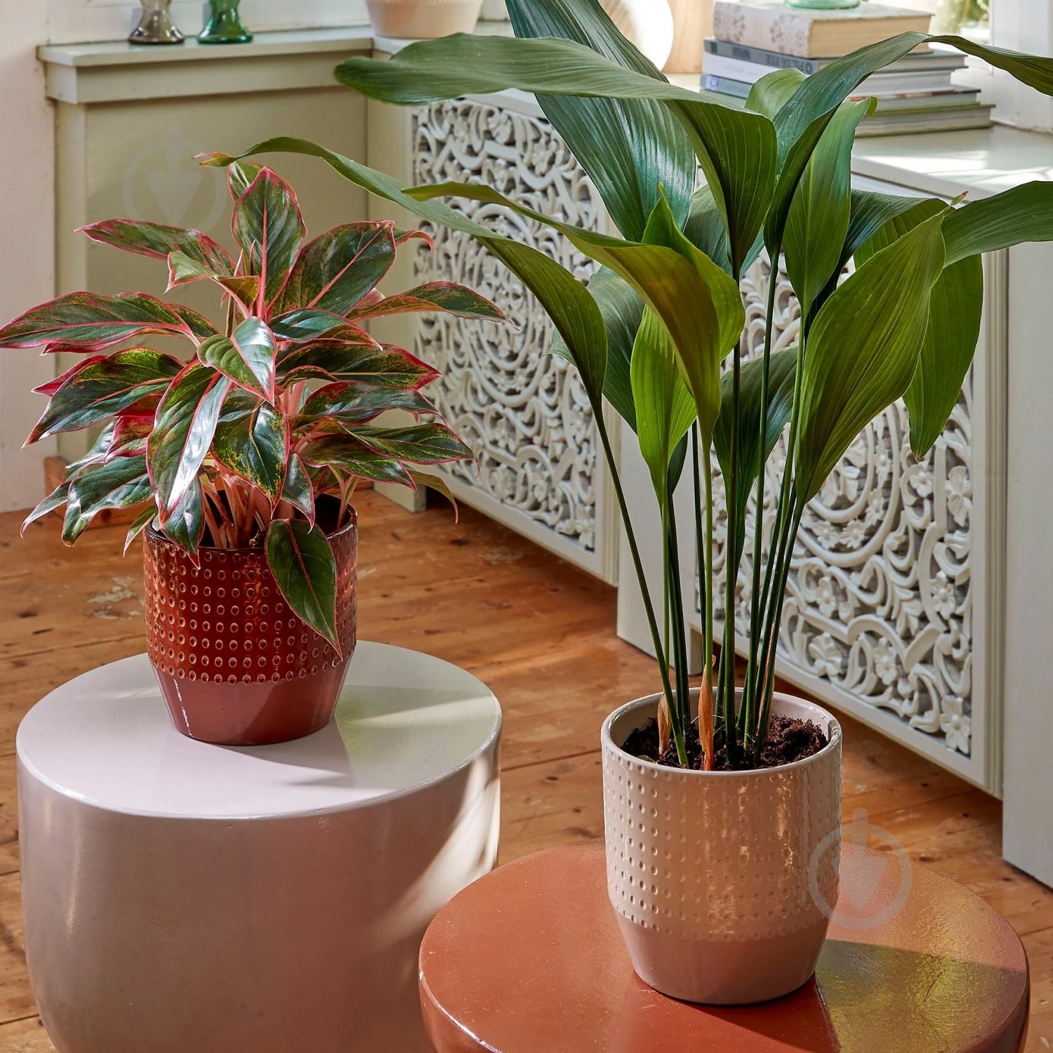 Вазон керамика Nola pot round круглый бежевый Edelman (1157294) - фото 2 Вазон керамика Nola pot round круглый бежевый Edelman (1157294) - фото 2