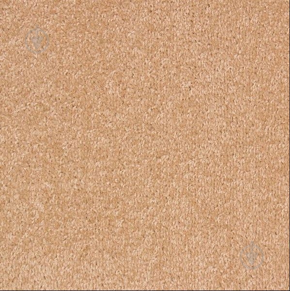 Ковролин Betap Dynasty 70 3 м - фото 1 Ковролин Betap Dynasty 70 3 м - фото 1