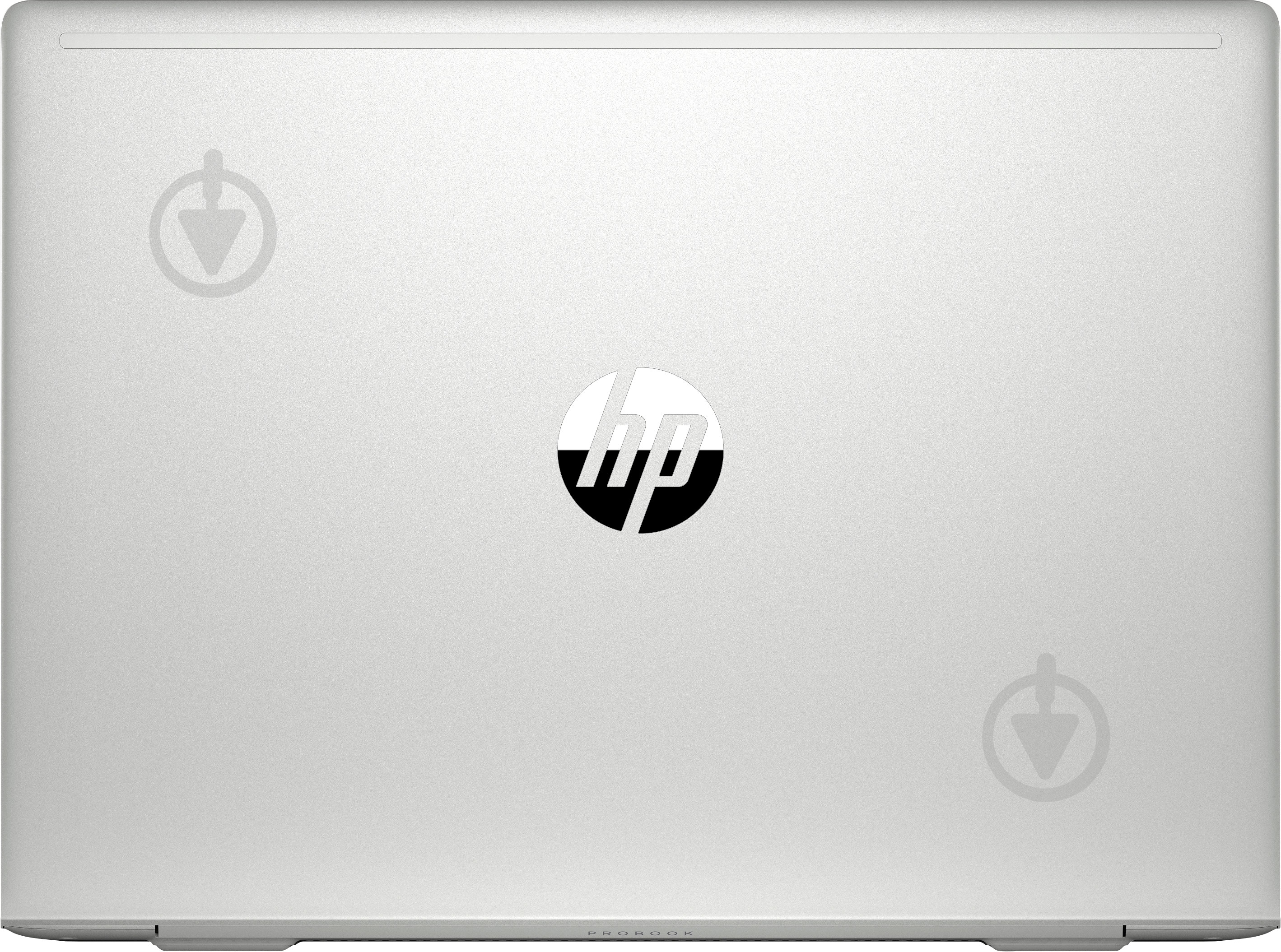 Ноутбук HP Probook 445 G7 14" (1F3L0EA) silver - фото 7