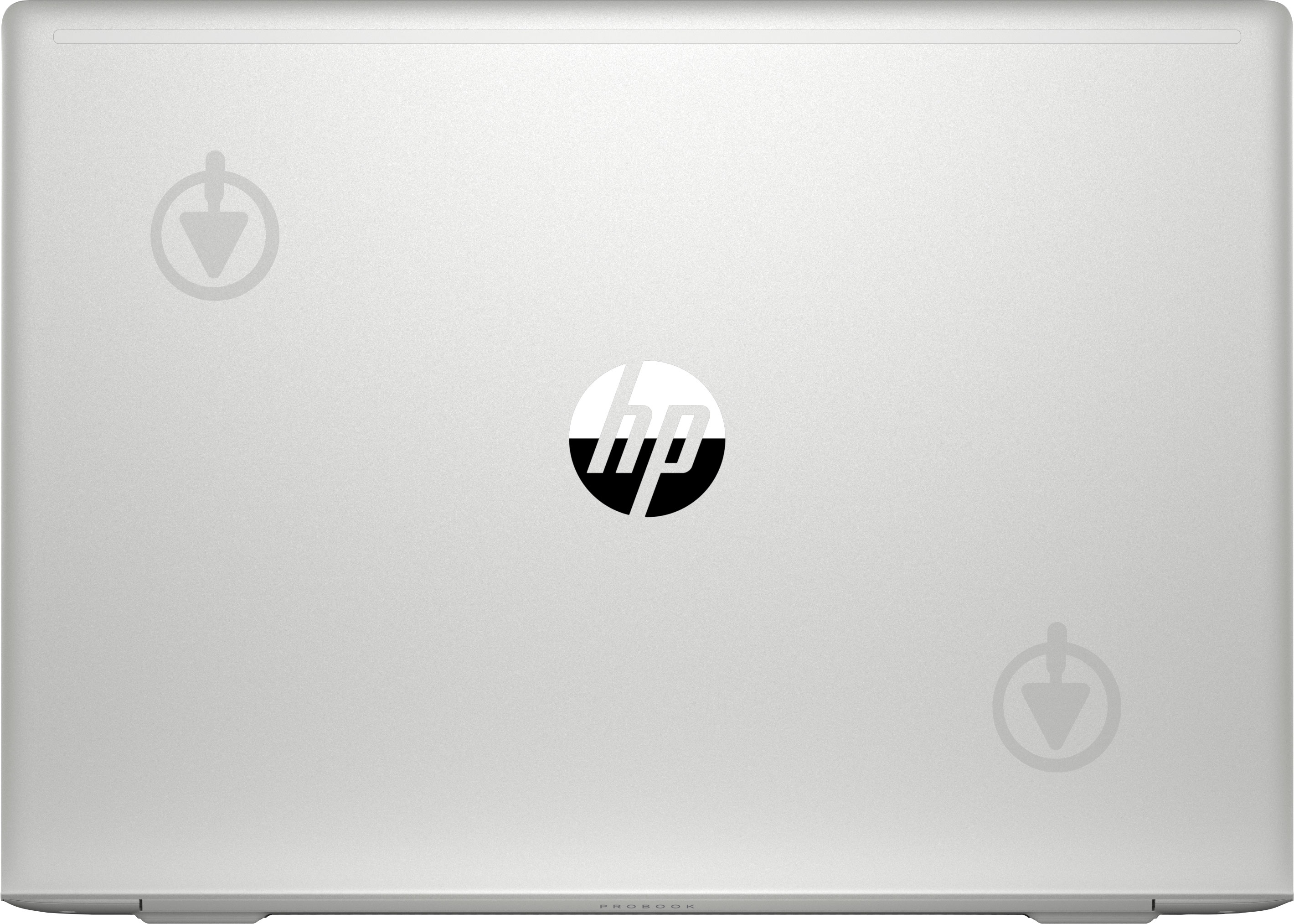 Ноутбук HP ProBook 450 G6 15,6" (6HM16ES) silver - фото 7