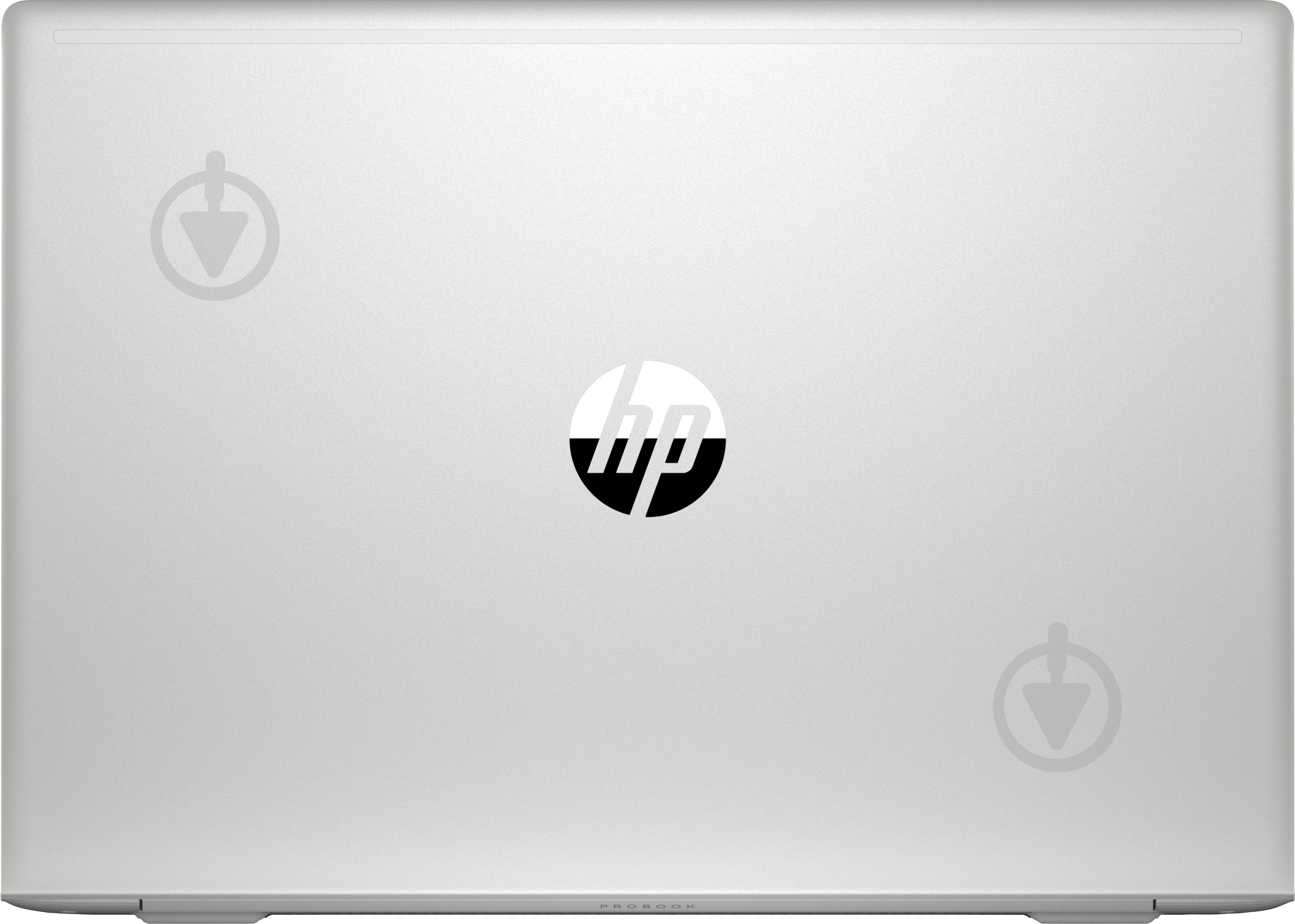 Ноутбук HP Probook 455 G7 15,6" (175W5EA) silver - фото 7