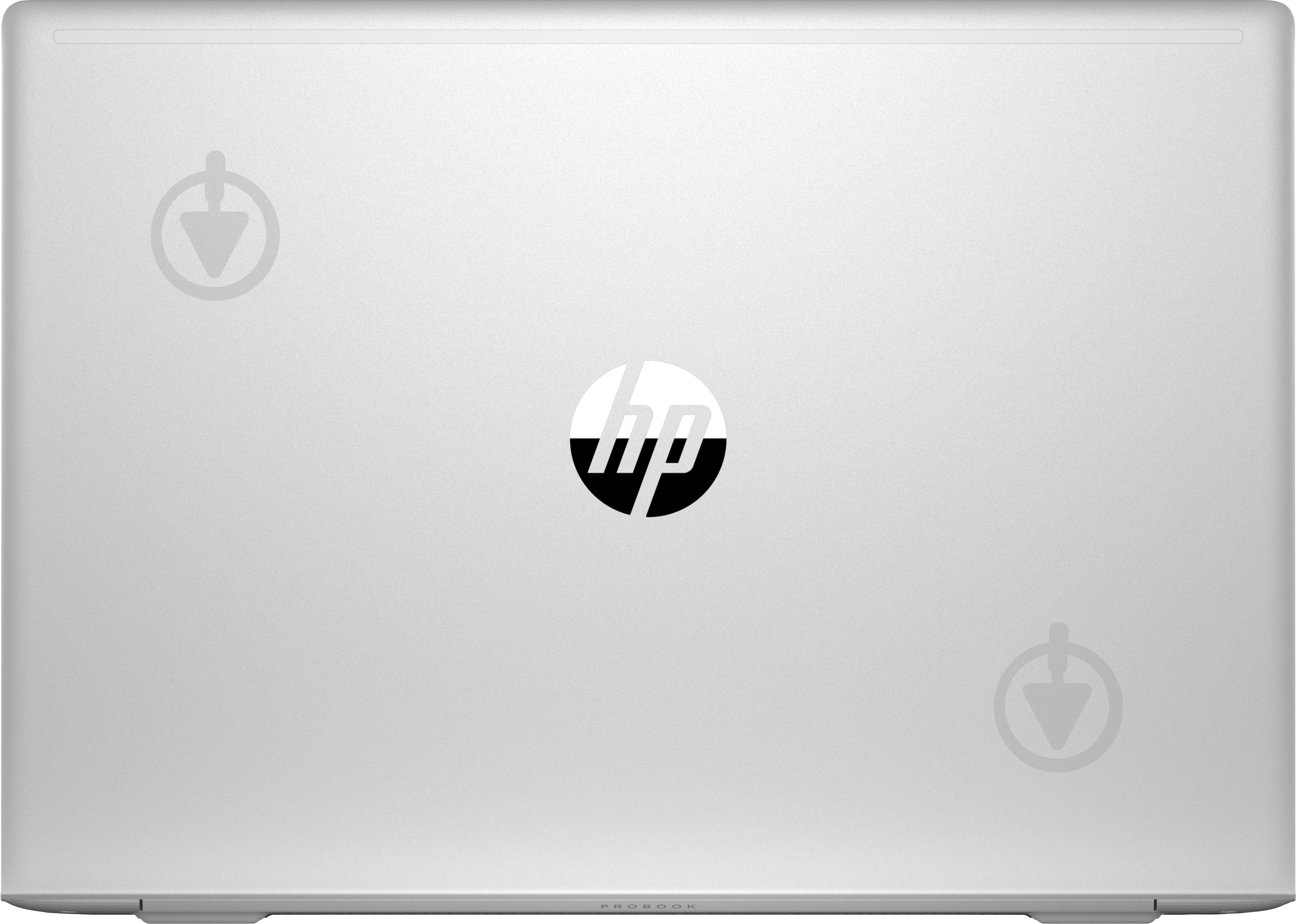 Ноутбук HP Probook 455 G7 15,6" (12X20EA) silver - фото 7