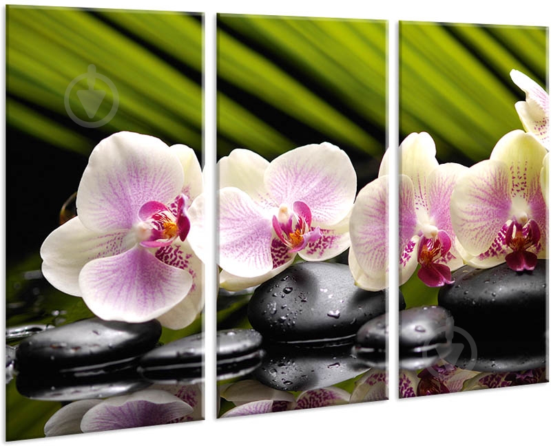 Картина модульна MD030 96x70 см YS-Art - фото 1 Картина модульна MD030 96x70 см YS-Art - фото 1