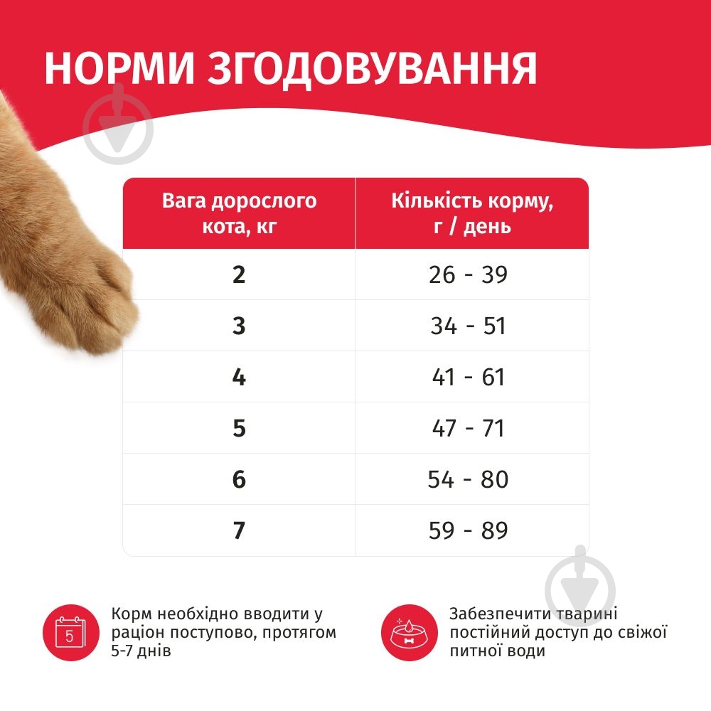 Корм сухой для котов Мяу с говядиной 300 г - фото 3 Корм сухой для котов Мяу с говядиной 300 г - фото 3