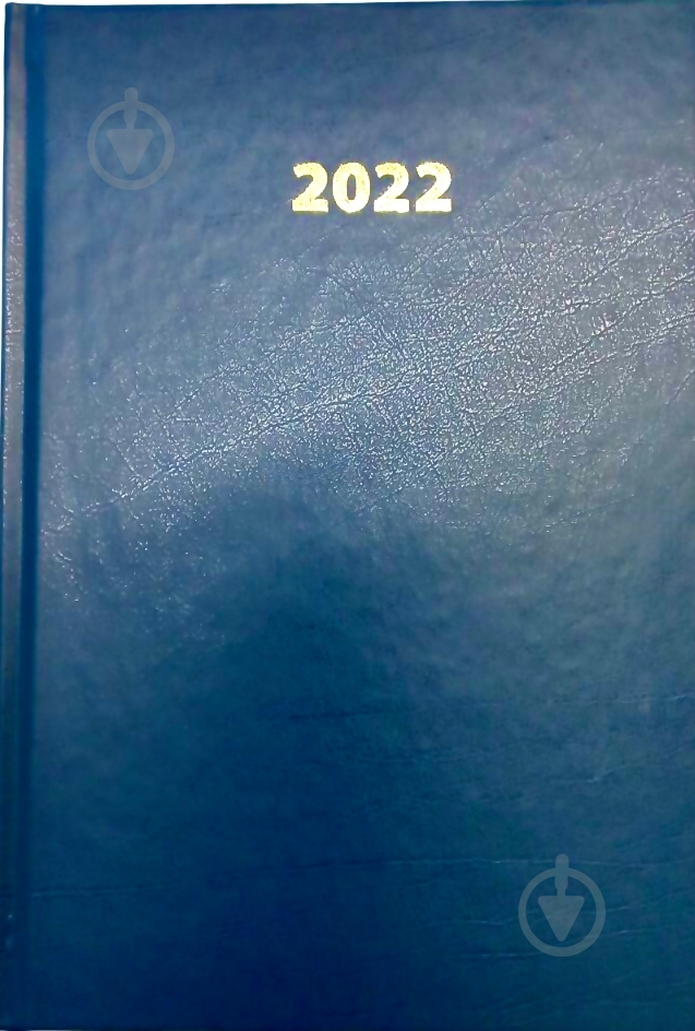 Щоденник датований синій лінія UP! (Underprice) A5 2022 - фото 1