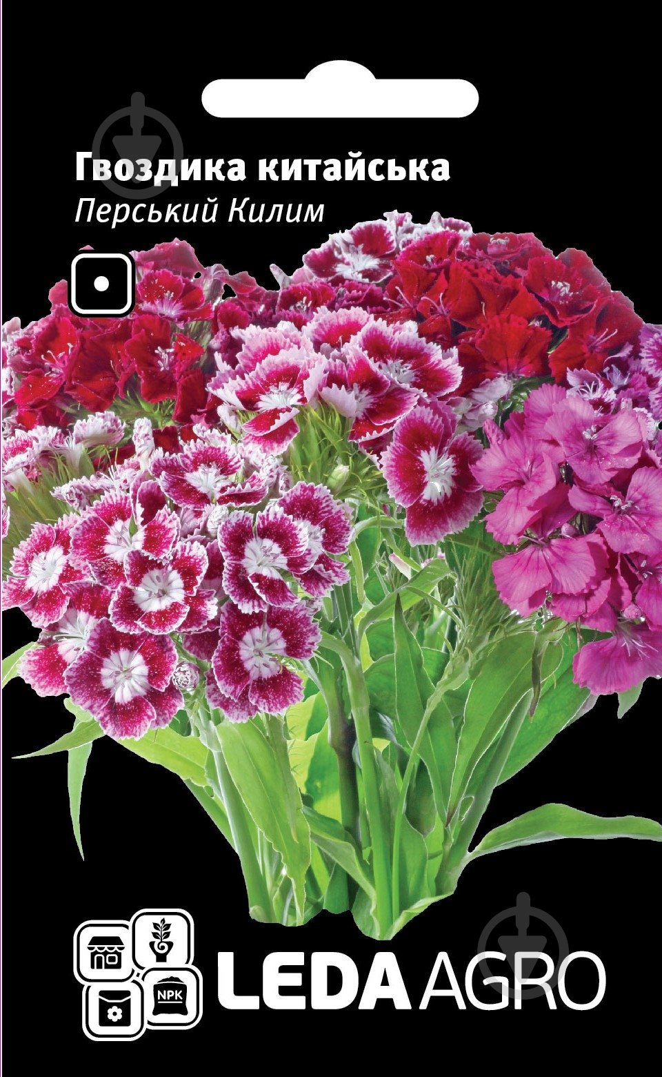 Семена LedaAgro гвоздика китайская Персидский Ковер смесь 0,1 г (4820119793503) - фото 1 Семена LedaAgro гвоздика китайская Персидский Ковер смесь 0,1 г (4820119793503) - фото 1