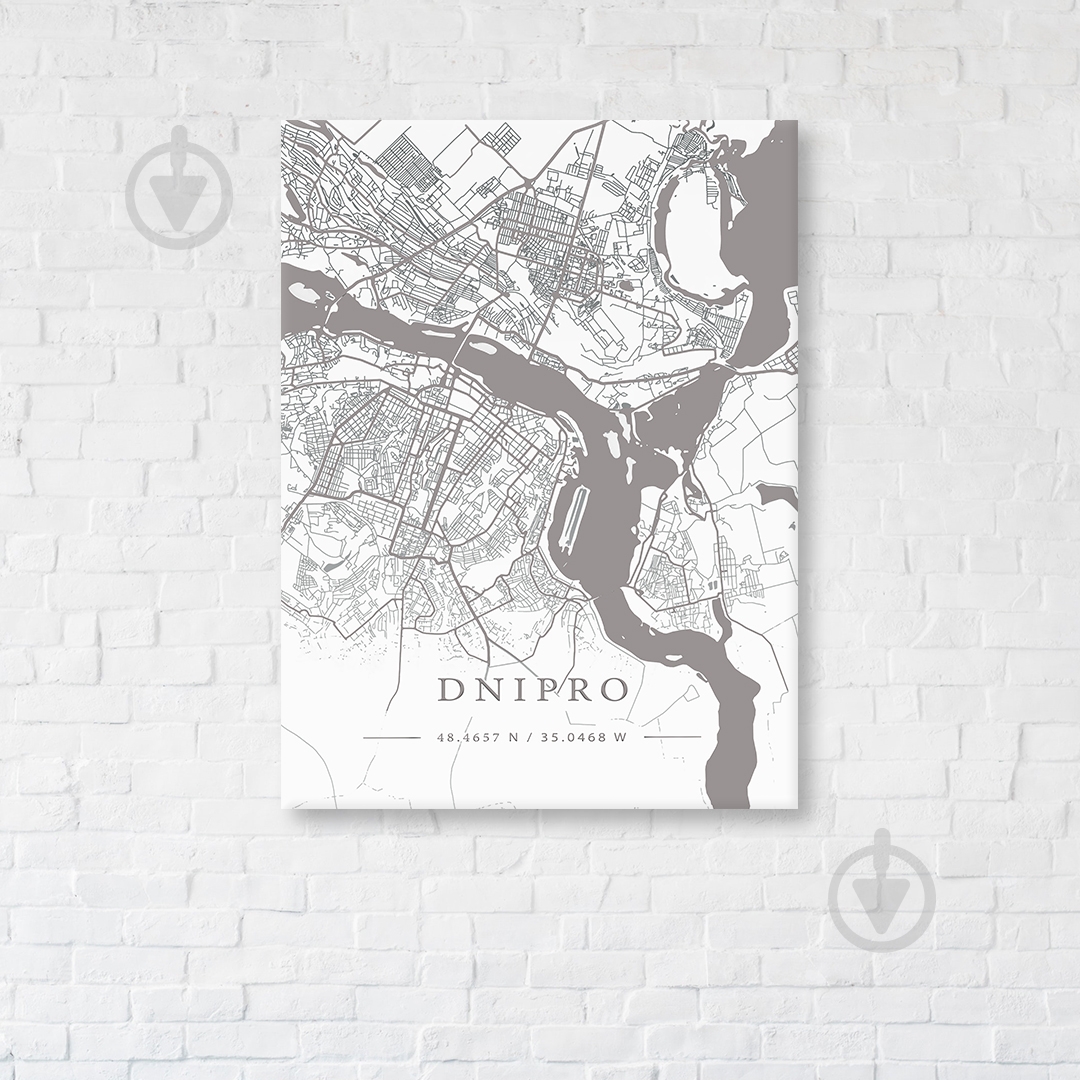 Постер Dnipro White Map 50x65 см Brushme - фото 1