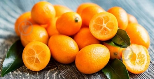 Кумкват весовой - фото 4