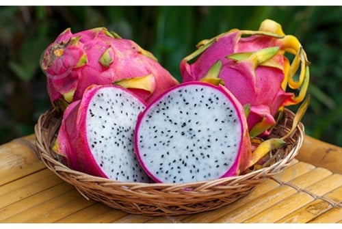 Питахайя красная - фото 2