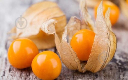 Фізаліс Перуанський - фото 3