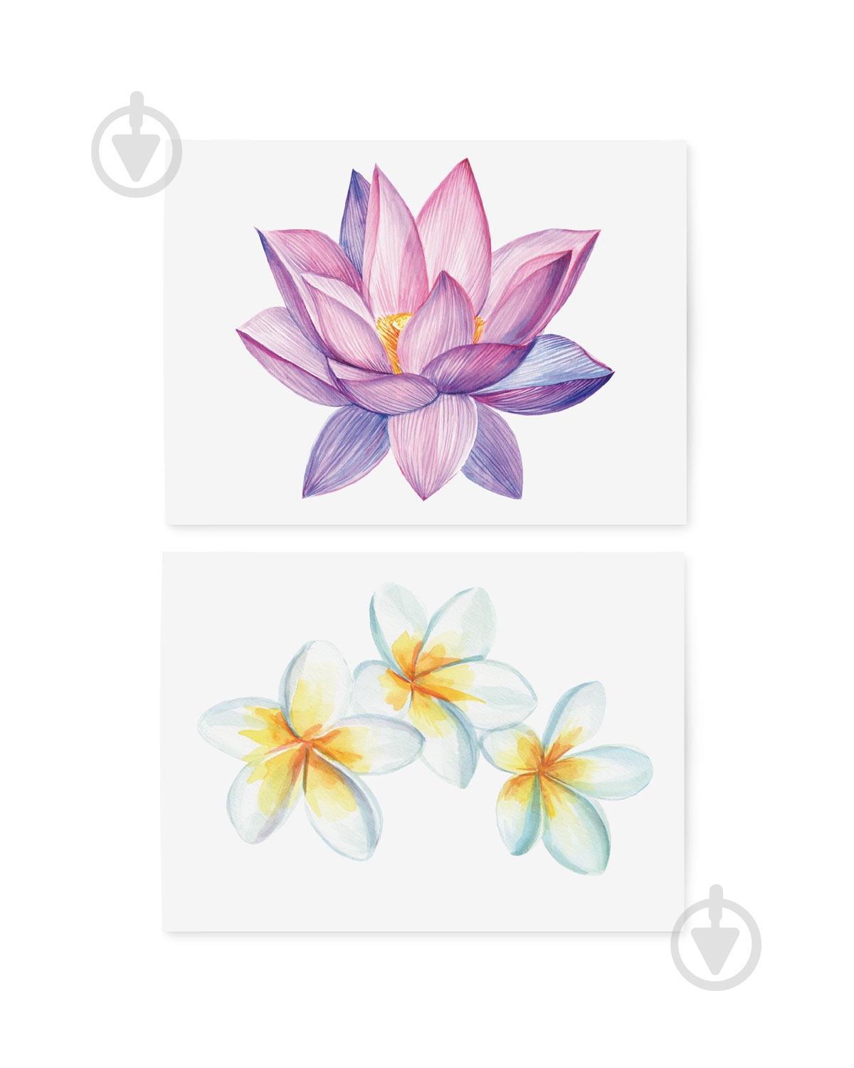 Тату тимчасове TATTon.me Bali Flowers set - фото 2