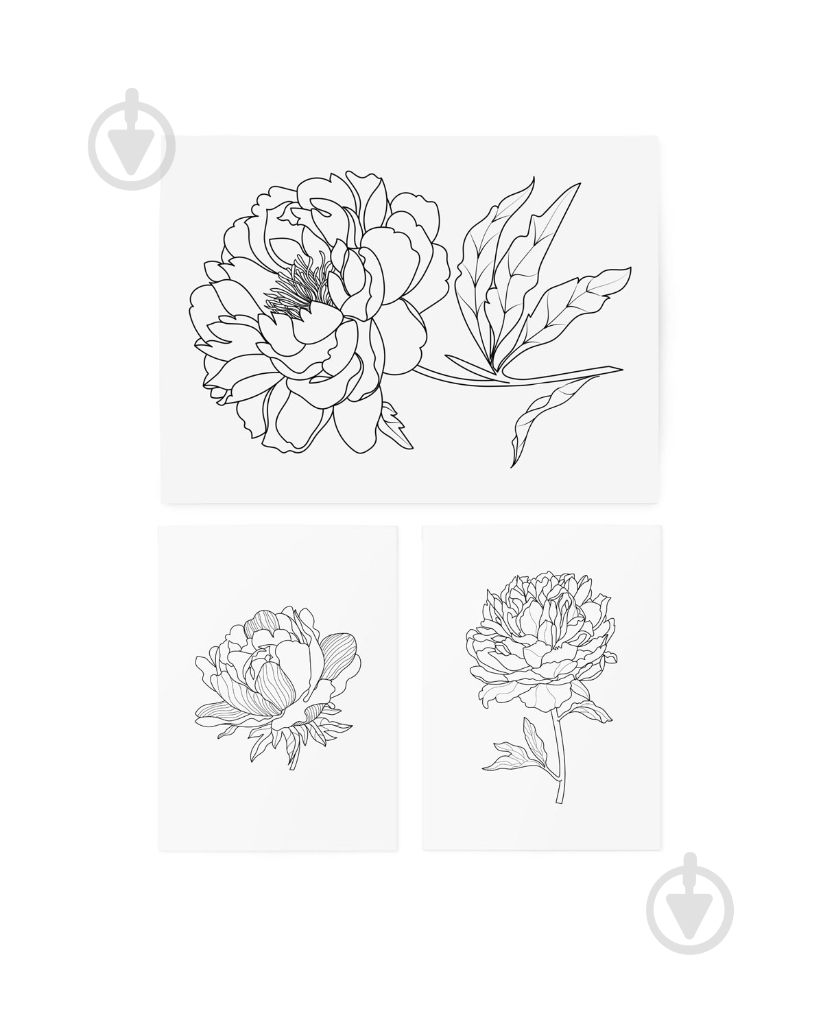 Тату временное TATTon.me Graphic Flowers set - фото 2