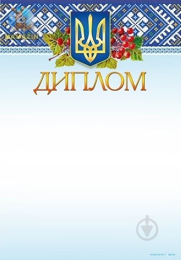Диплом ДМ-030 - фото 1 Диплом ДМ-030 - фото 1