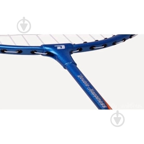 Набор для бадминтона DHS DHS STEEL FRAME 270 - фото 4