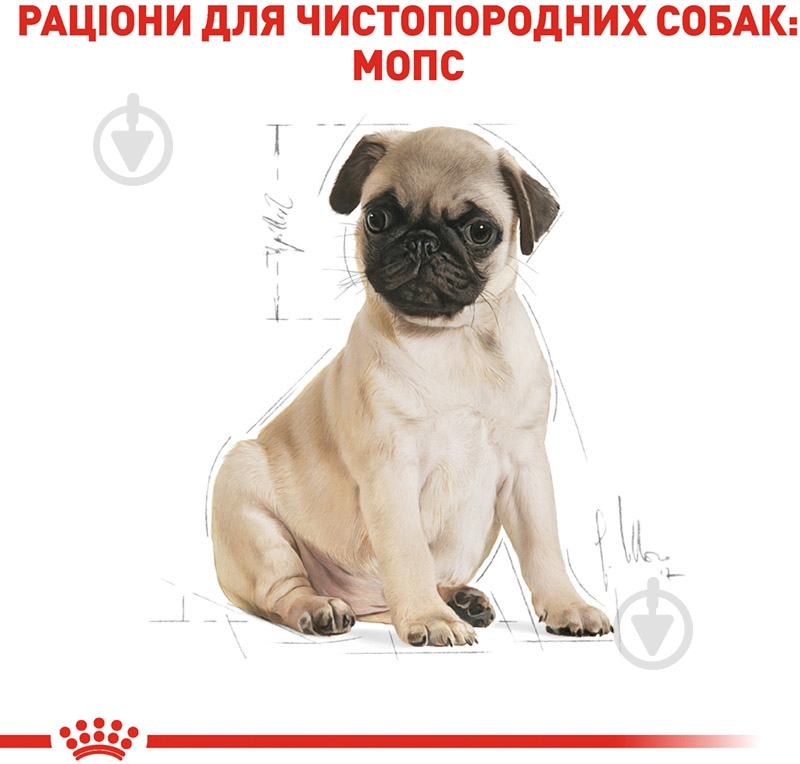 Корм сухой для щенков для средних пород Royal Canin PUG PUPPY 1,5 кг (домашняя птица) 1,5 кг - фото 3