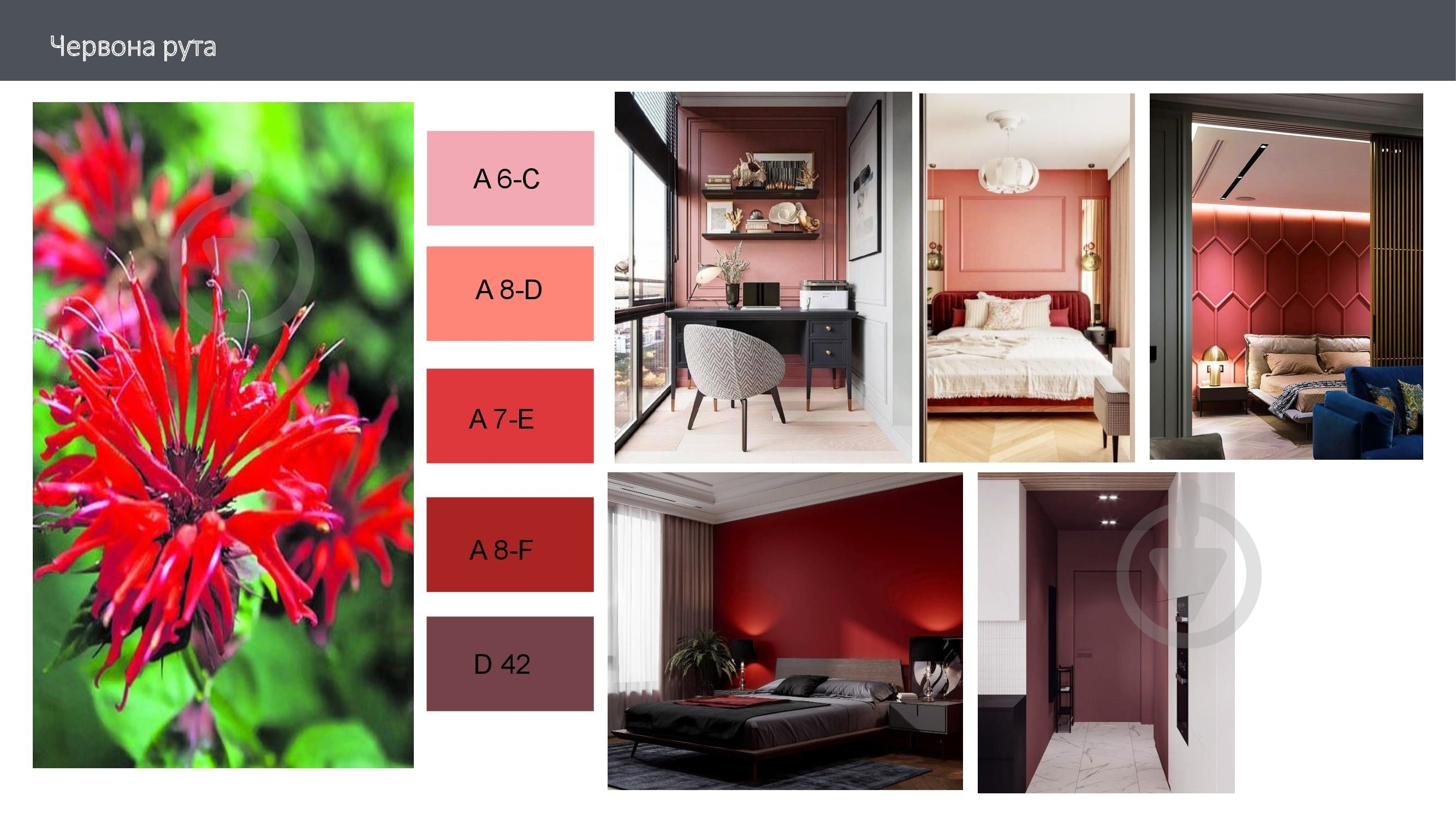 Краска латексная с колорированием Feidal Innen Basisfarbe мат A 7-E 4,5 л - фото 3