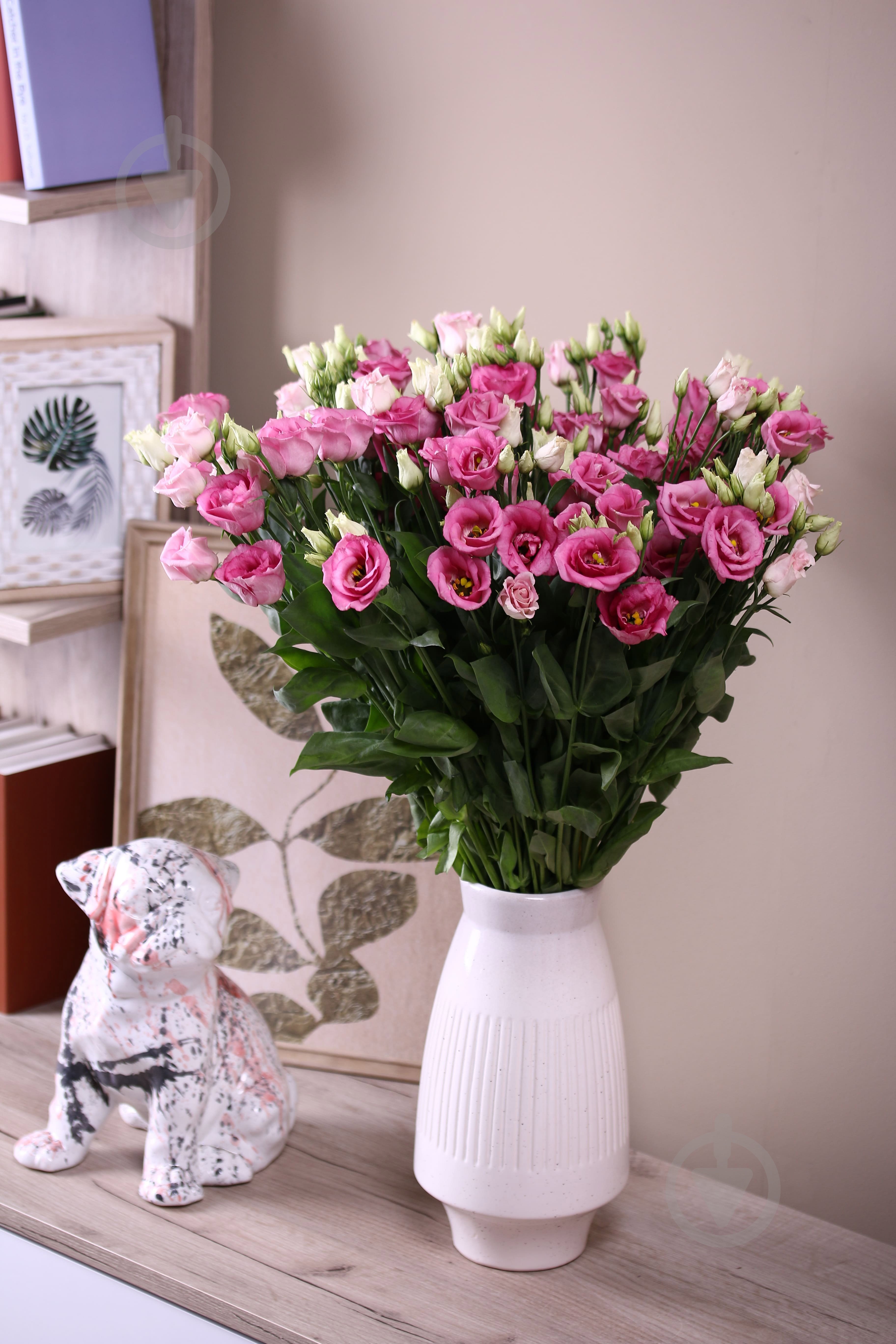 Эустома Rosita Pink розовая (Нидерланды) - фото 2