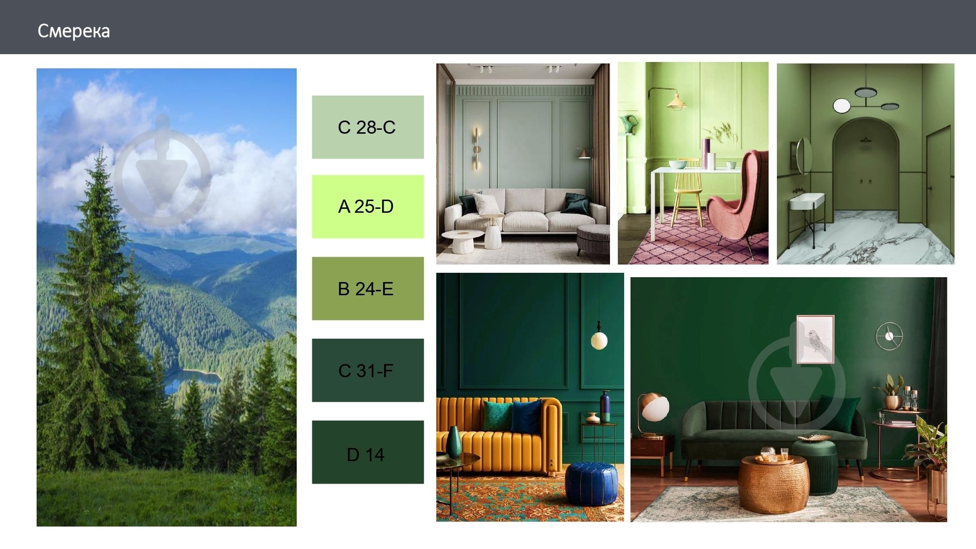 Краска латексная с колорированием Feidal Innen Basisfarbe мат B 24-E 2,3 л - фото 3