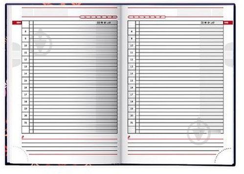 Дневник Агенда Графо PM Коло - фото 3