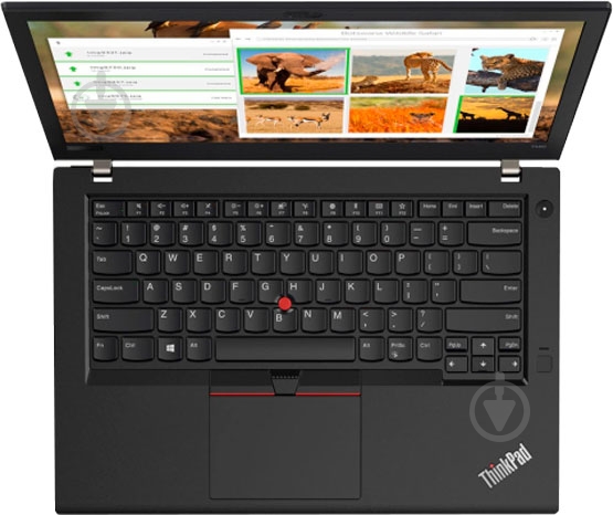 Ноутбук Lenovo ThinkPad T480 14 (20L6SD2B00) black - фото 6
