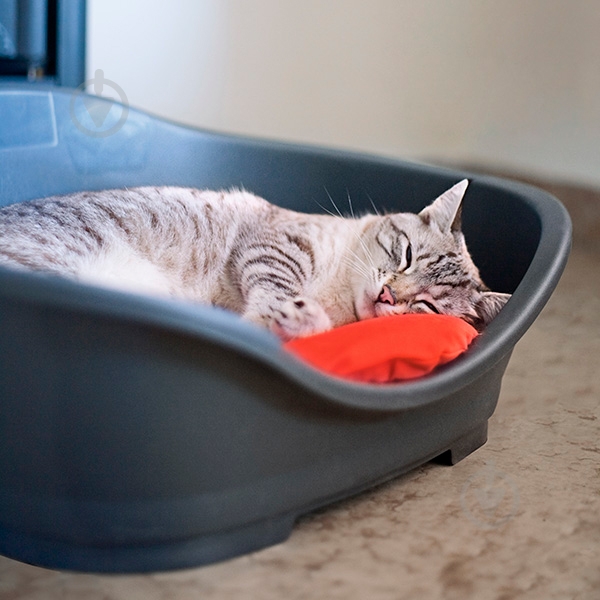 Лежак Stefanplast Sleeper 6 118x80x40 см стальной синий - фото 2 Лежак Stefanplast Sleeper 6 118x80x40 см стальной синий - фото 2