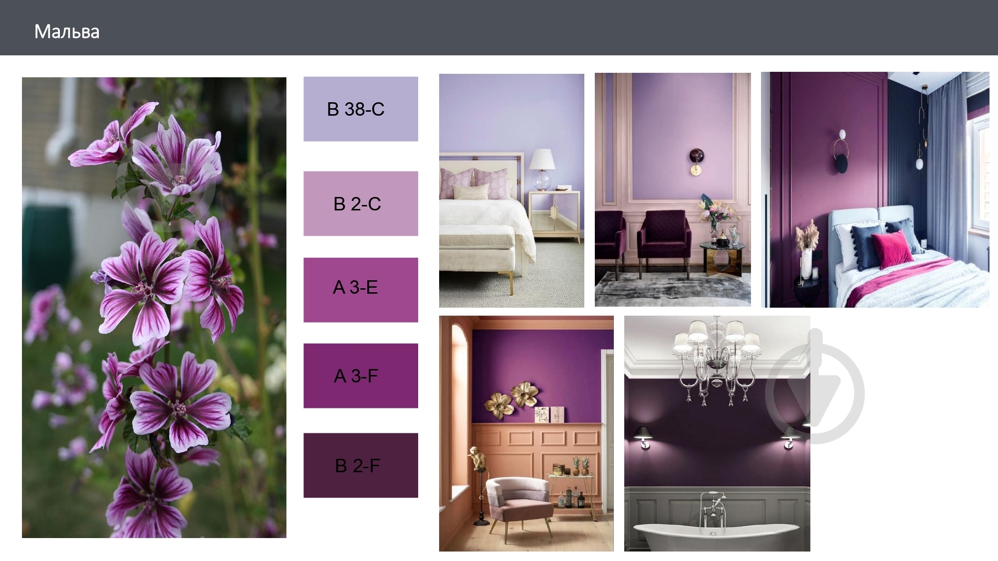 Краска латексная с колорированием Feidal Innen Basisfarbe мат A 3-F 0,75 л - фото 3