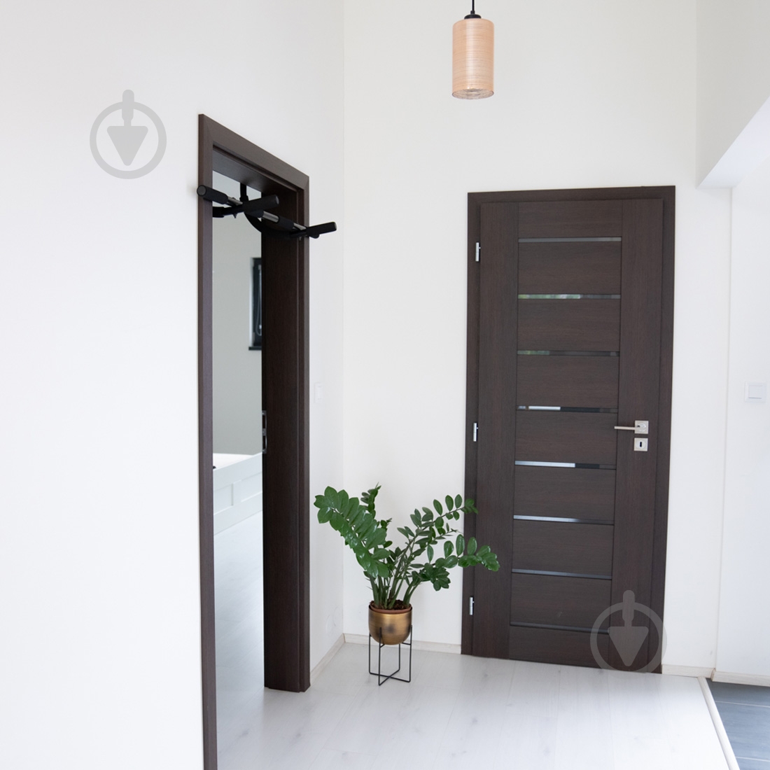 Турник дверной inSPORTline DCB100 (23262) - фото 5