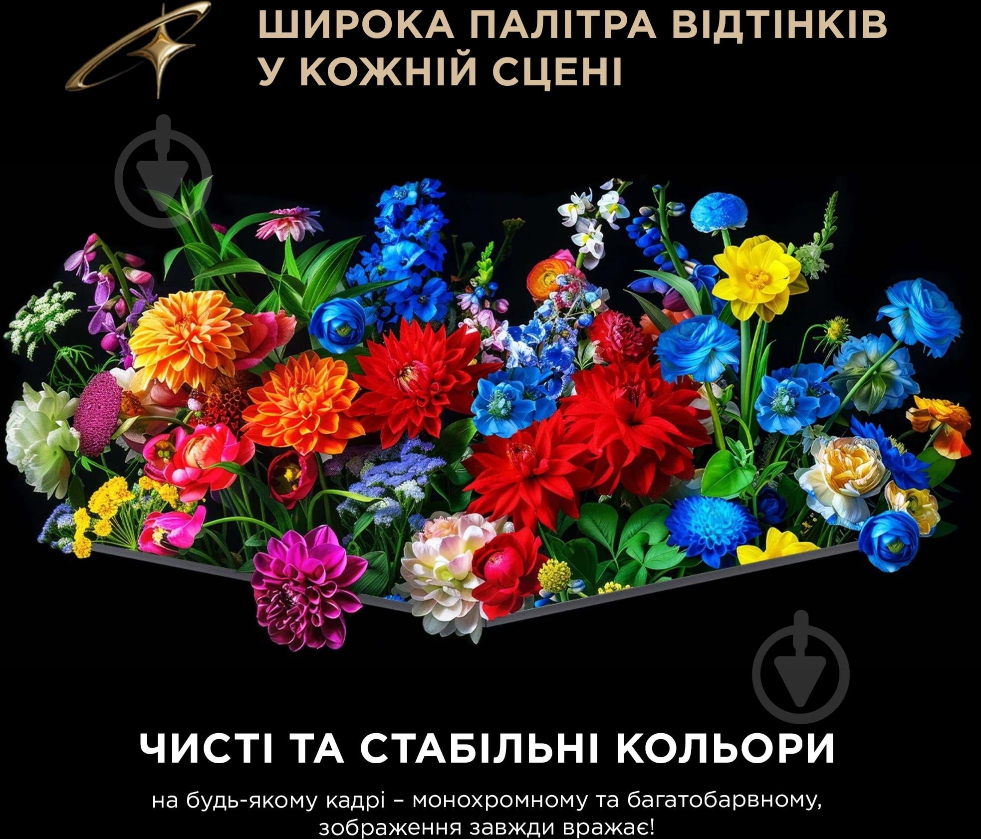 Телевизор TCL 65C8L 65″ - фото 10