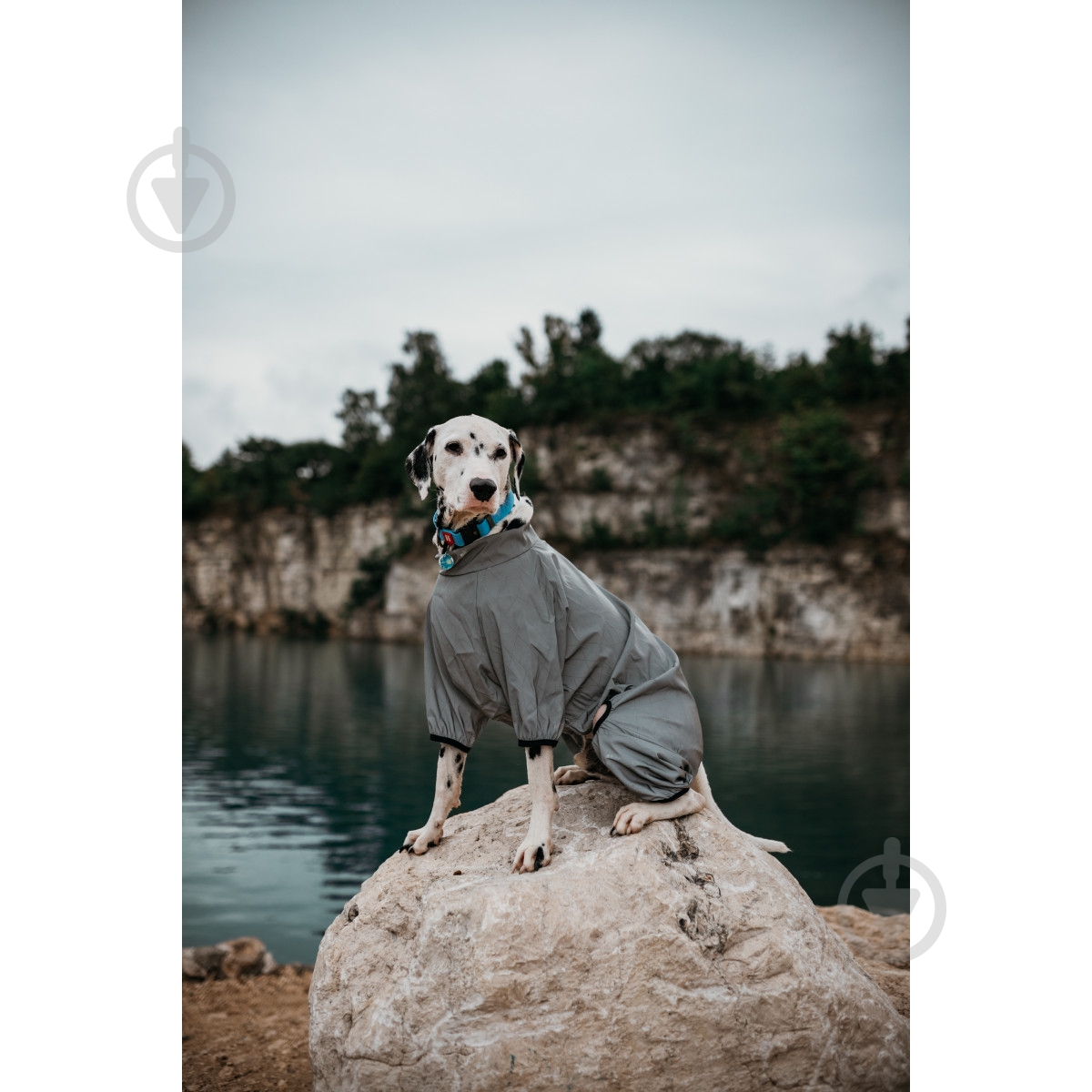 Ветровка Waudog Clothes светоотражающая XS25 - фото 11 Ветровка Waudog Clothes светоотражающая XS25 - фото 11