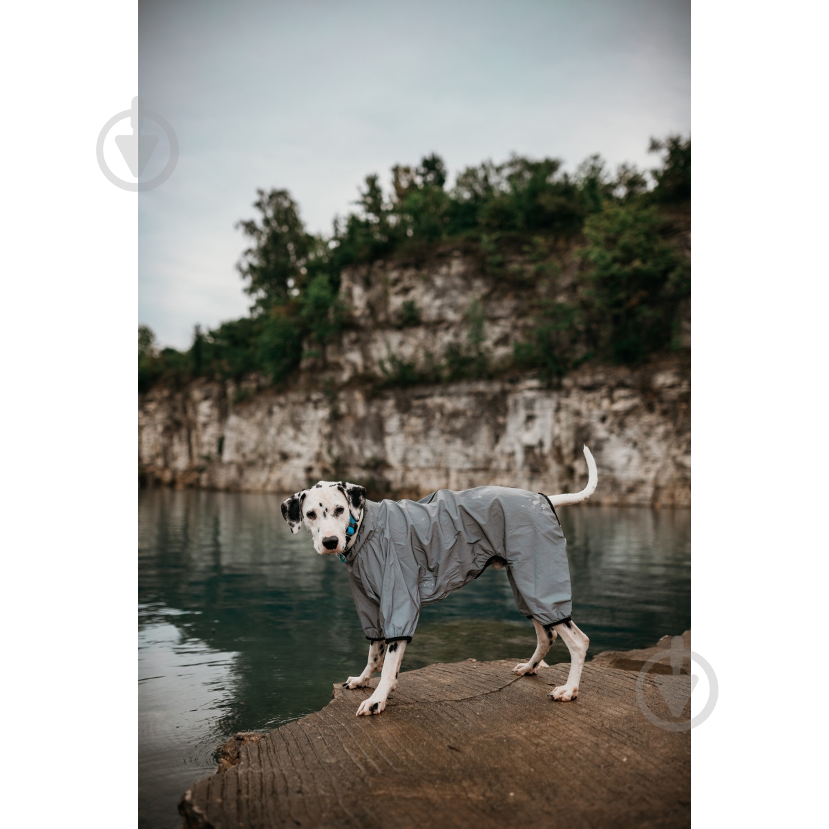 Вітрівка Waudog Clothes світловідбивна XS30 - фото 10 Вітрівка Waudog Clothes світловідбивна XS30 - фото 10