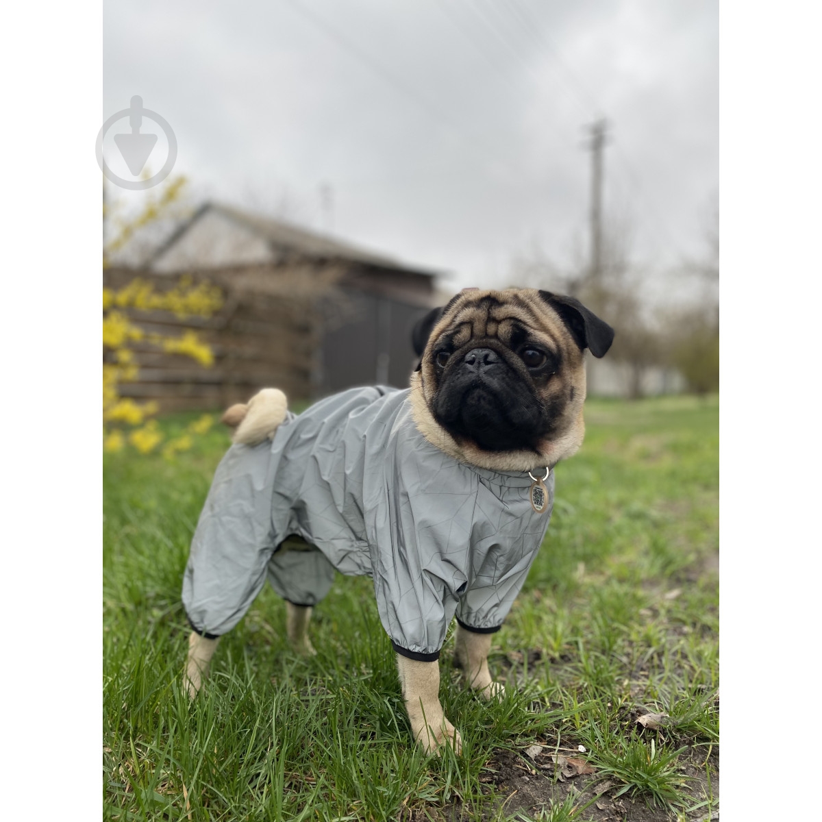 Ветровка Waudog Clothes светоотражающая S30 - фото 6 Ветровка Waudog Clothes светоотражающая S30 - фото 6