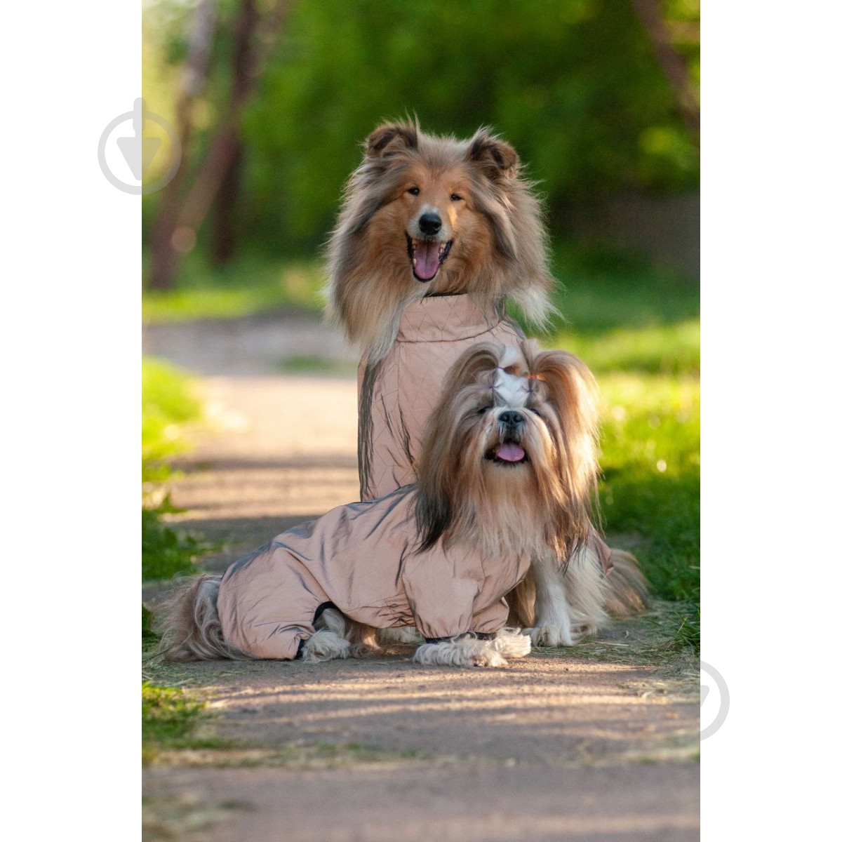 Ветровка Waudog Clothes светоотражающая M45 - фото 12