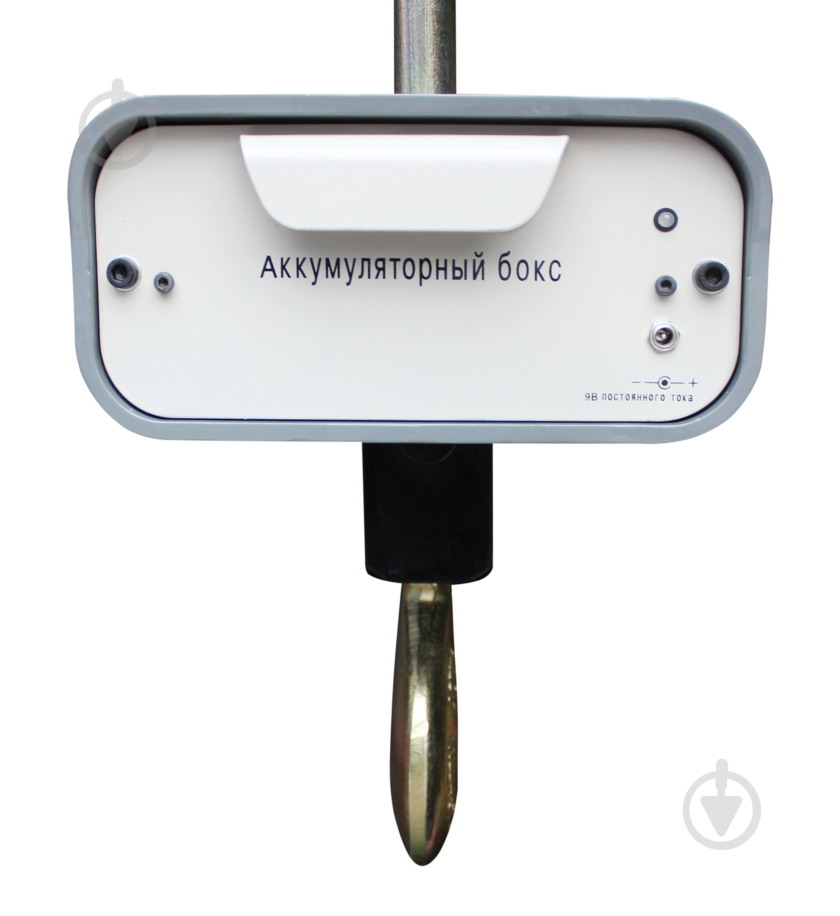 Весы крановые ЗЕВС ВК III-3000 3000 кг - фото 4