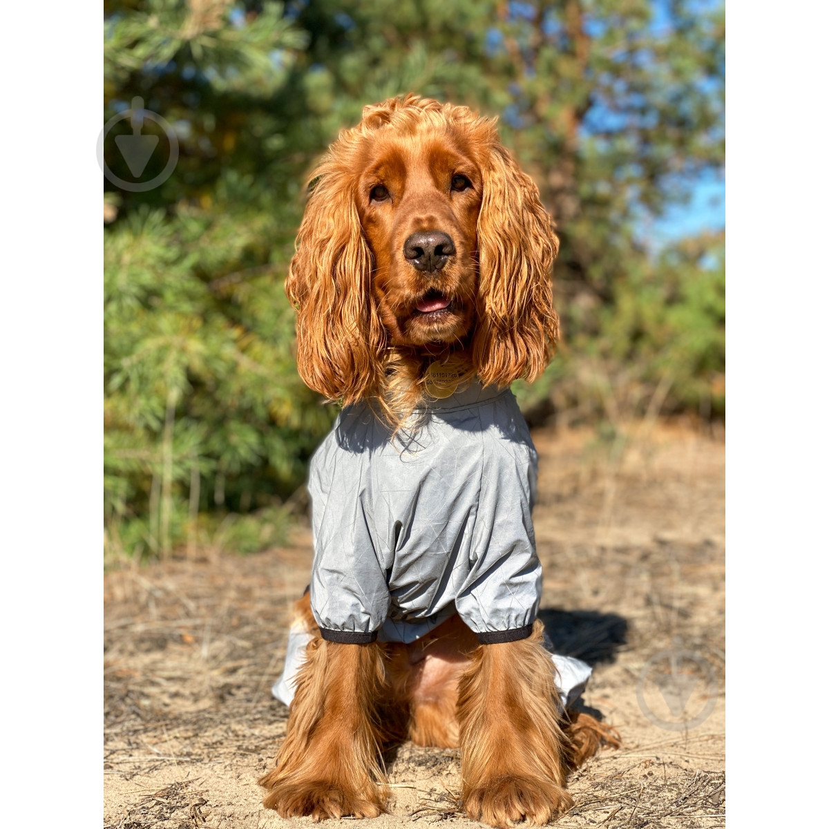 Ветровка Waudog Clothes светоотражающая L50 - фото 8 Ветровка Waudog Clothes светоотражающая L50 - фото 8