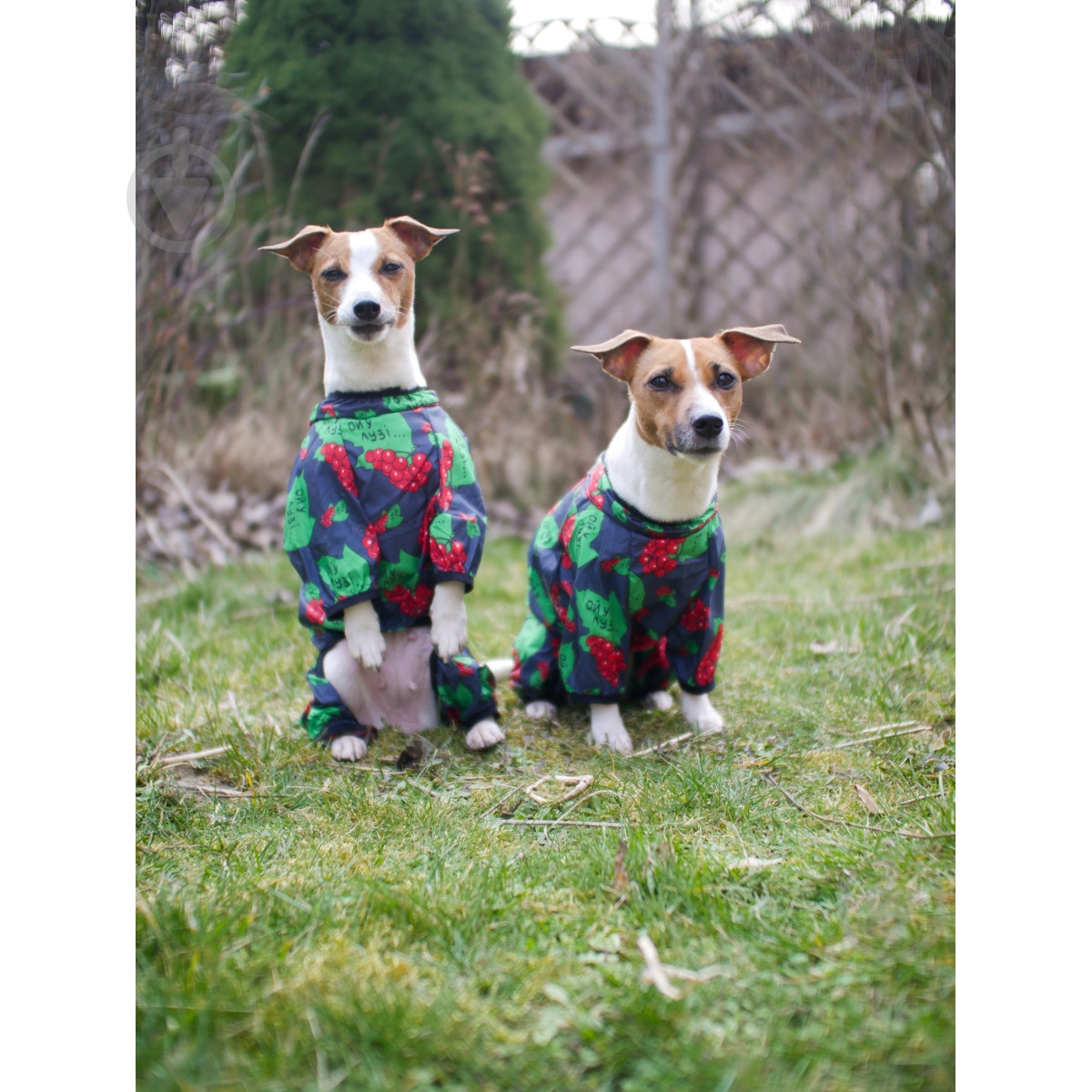 Ветровка Waudog Clothes рисунок Калина XS30 - фото 7 Ветровка Waudog Clothes рисунок Калина XS30 - фото 7