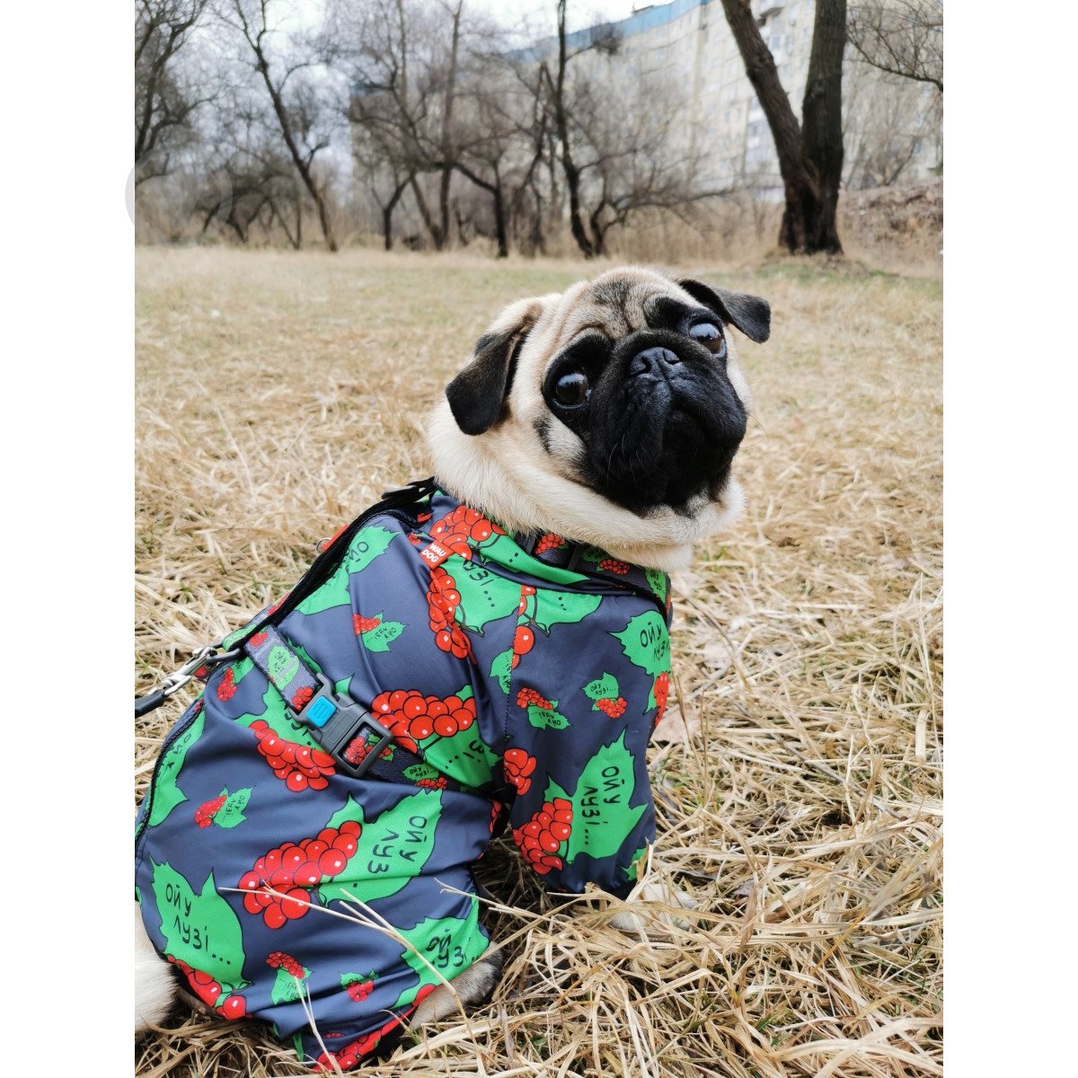 Ветровка Waudog Clothes рисунок Калина XS25 - фото 5 Ветровка Waudog Clothes рисунок Калина XS25 - фото 5