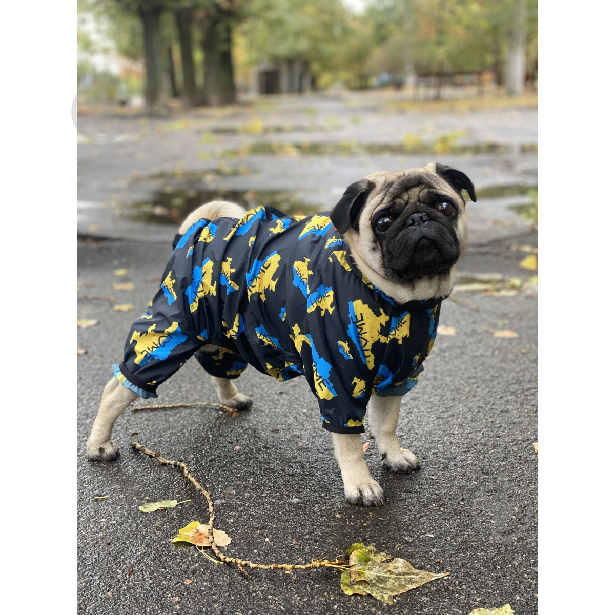 Вітрівка Waudog Clothes малюнок Дім XS30 - фото 5